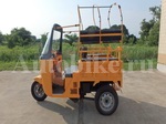      Bajaj Chetak 250 (TukTuk) 2008  11